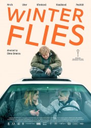 Watch free Winter Flies movies online