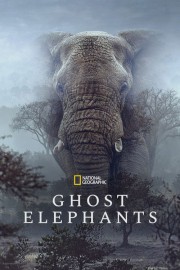 hd-Ghost Elephants
