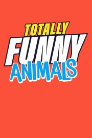 hd-Totally Funny Animals