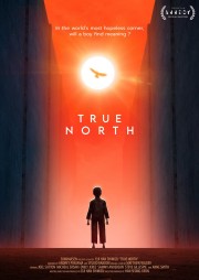 Watch free True North movies online