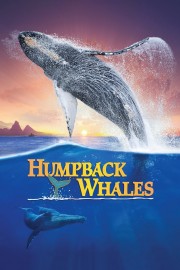 watch Humpback Whales free online