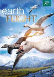 Watch free Earthflight movies online