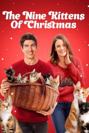 Watch free The Nine Kittens of Christmas movies online