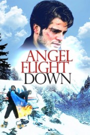 hd-Angel Flight Down