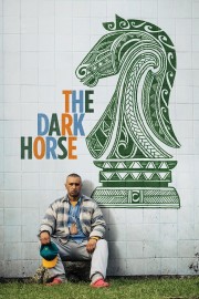 watch The Dark Horse free online