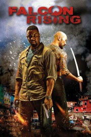 Watch free Falcon Rising movies online