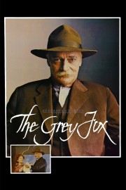 hd-The Grey Fox