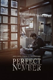 watch Perfect Number free online