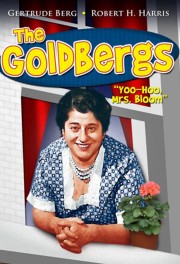 hd-The Goldbergs