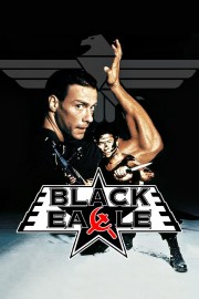 Watch free Black Eagle movies online