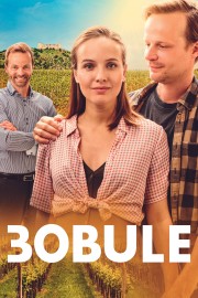 Watch free 3Bobule movies online