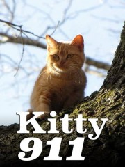 hd-Kitty 911