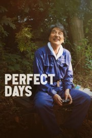 hd-Perfect Days