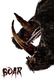 Watch free Boar movies online