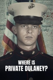 Watch free Where Is Private Dulaney? movies online