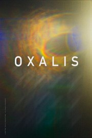 Oxalis-voll