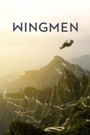 hd-Wingmen
