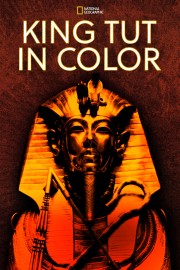 stream free King Tut In Color hd online