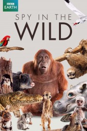 stream free Spy in the Wild hd online