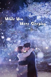 stream free While You Were Sleeping hd online