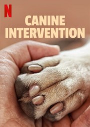 stream free Canine Intervention hd online