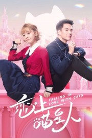 stream free Falling in Love With Cats hd online