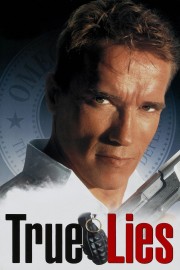 stream free True Lies hd online