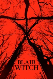 stream free Blair Witch hd online