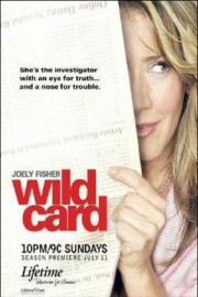 stream free Wild Card hd online