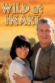 stream free Wild at Heart hd online