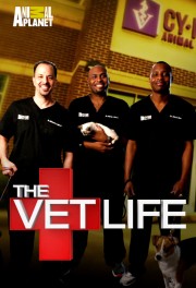 stream free The Vet Life hd online