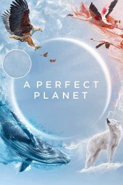 stream free A Perfect Planet hd online