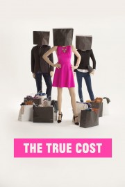 stream free The True Cost hd online