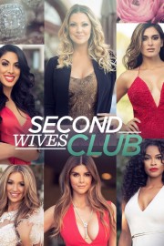 watch Second Wives Club free online