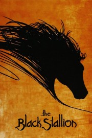 stream free The Black Stallion hd online