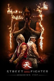 stream free Street Fighter Assassin's Fist hd online