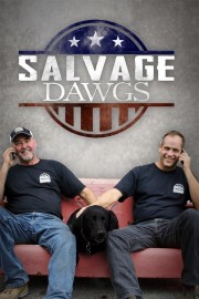 stream free Salvage Dawgs hd online