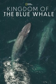 stream free Kingdom of the Blue Whale hd online