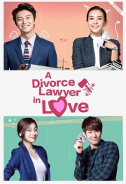 Divorce Lawyer in Love