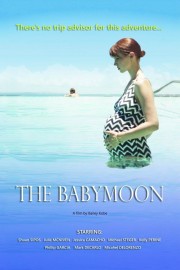 stream free The Babymoon hd online