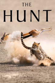 stream free The Hunt hd online