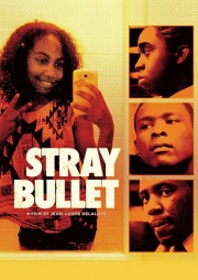 stream free Stray Bullet hd online