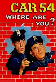 watch Car 54, Where Are You? free online