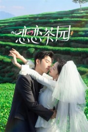 stream free Love in the Tea Garden hd online