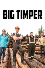 stream free Big Timber hd online