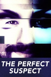 stream free The Perfect Suspect hd online