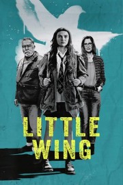 stream free Little Wing hd online