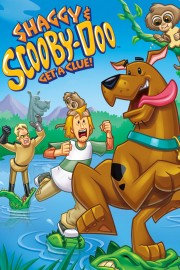 stream free Shaggy & Scooby-Doo Get a Clue! hd online