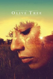 stream free The Olive Tree hd online