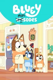 stream free Bluey Minisodes hd online